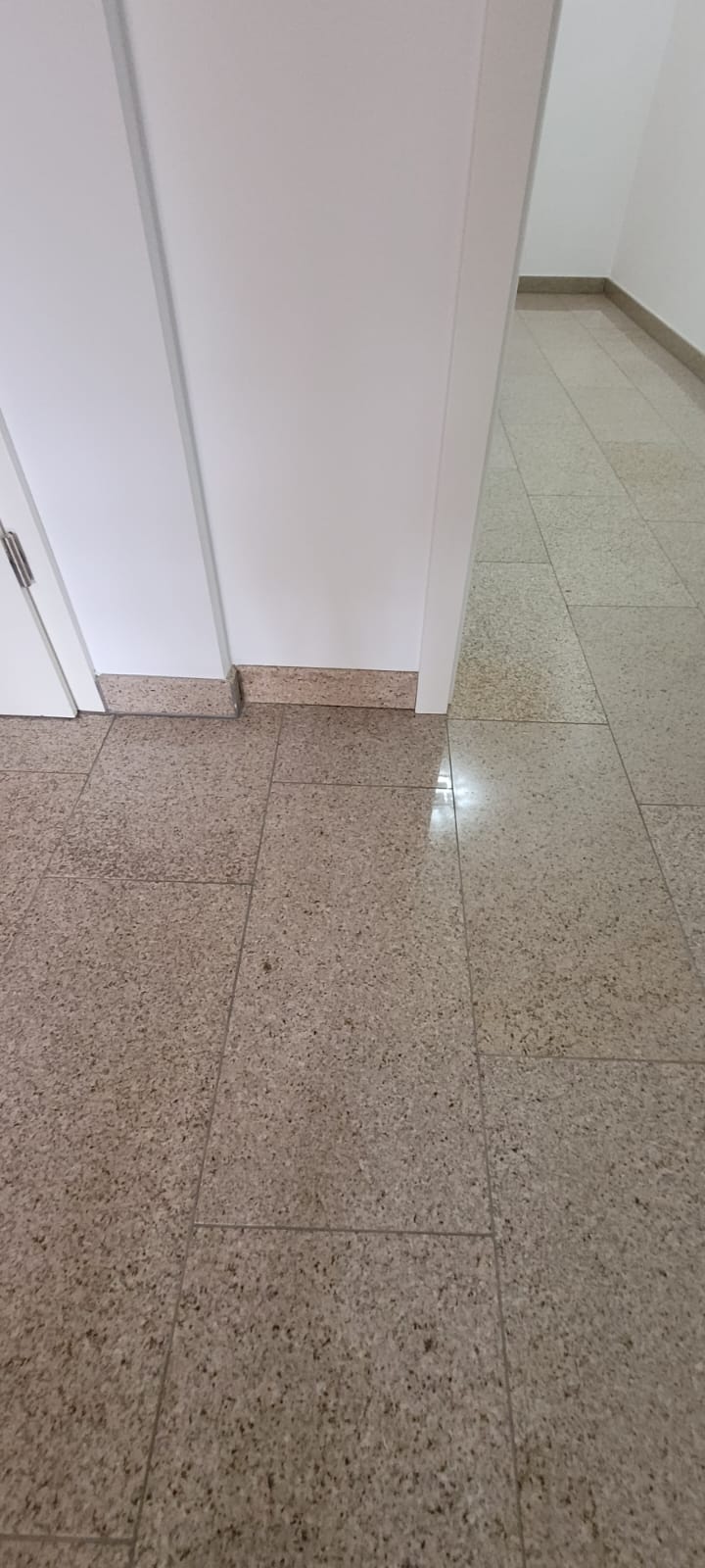 AP-BAU