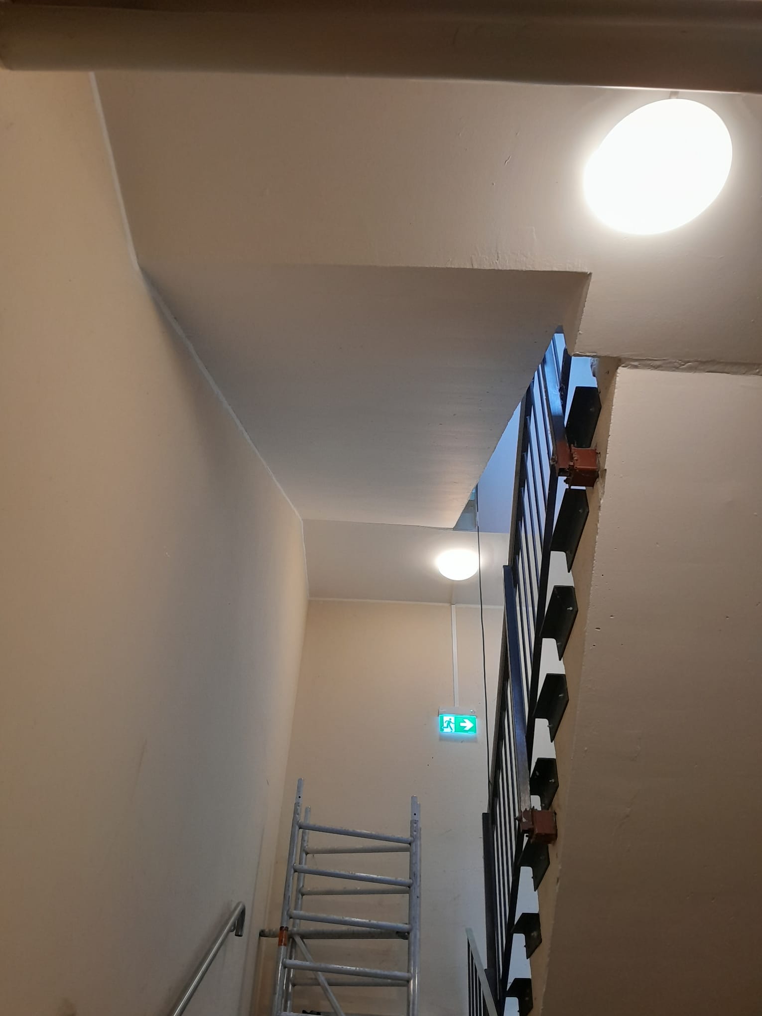 AP-BAU