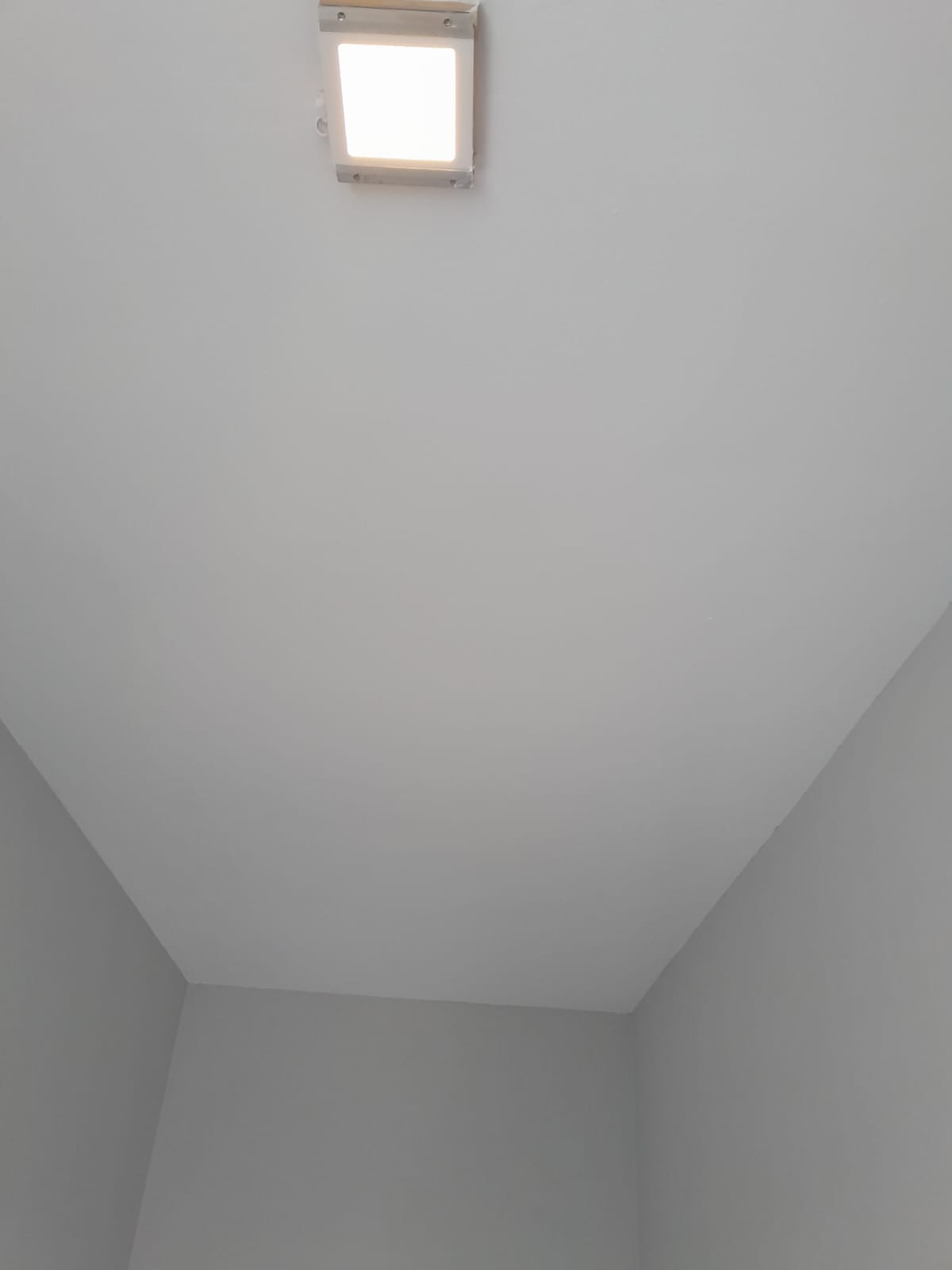 AP-BAU