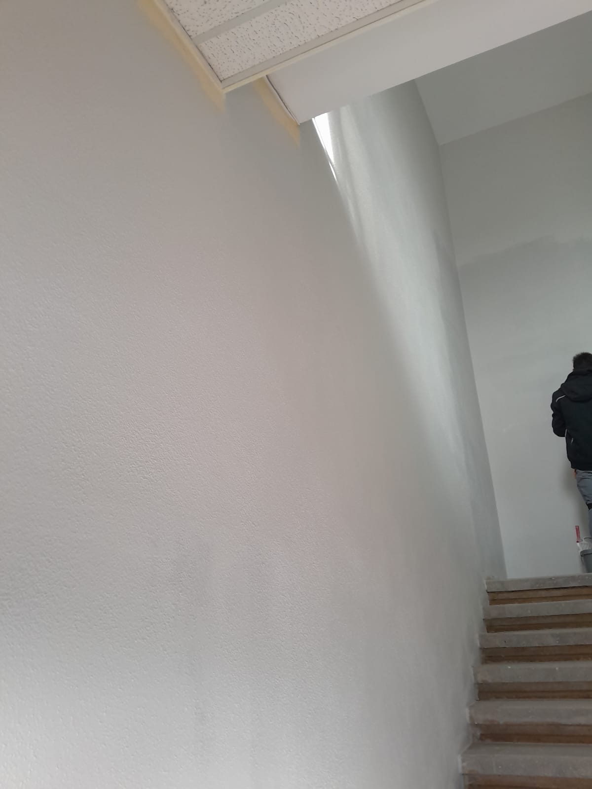 AP-BAU